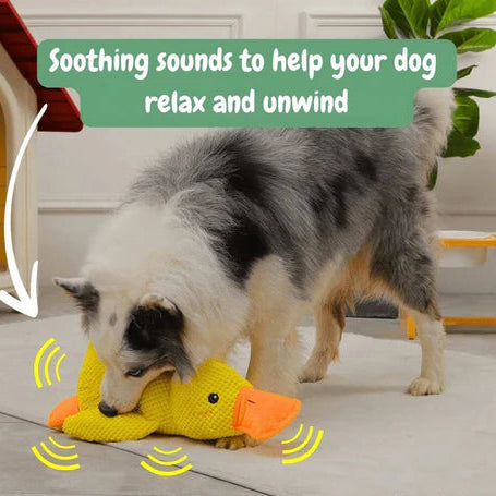 Calming Duck™